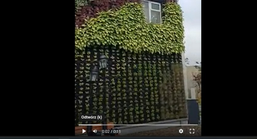 [WIDEO] Czytelnik: - Słyszę, że woda płynie po ścianie. Po tej słynnej, zielone. I leje się na ziemię. I się zastanawiam: po co?