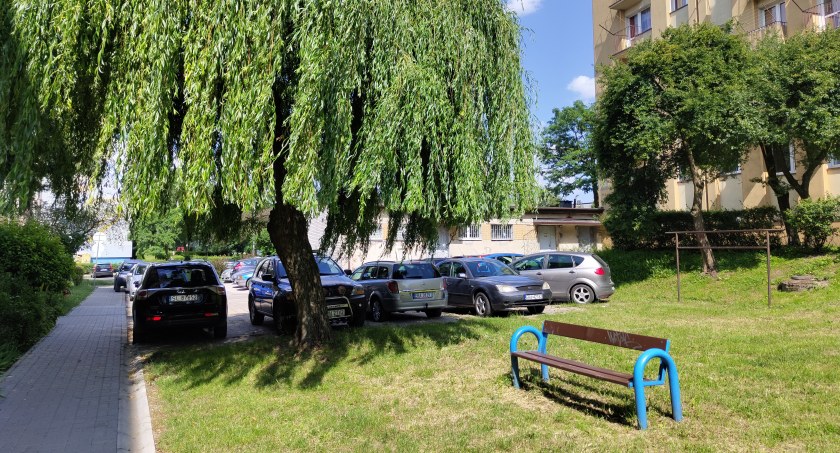 Wolą drzewa niż parking. Prezes RSM mówi: - Na razie mamy pat
