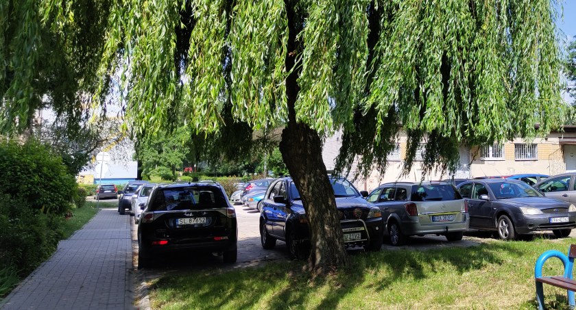 Czy jestem drewnianą ekoterrorystką? [Dzienniczek Pani Dany]