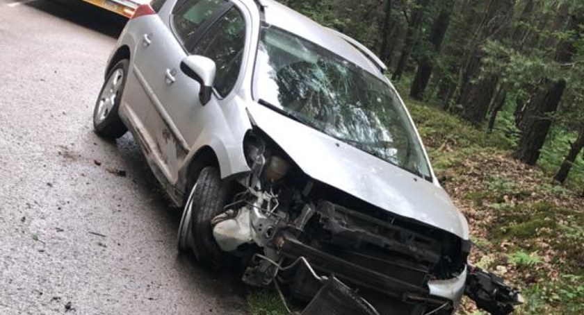 Nadkomisarz Aneta Wlazłowska: - 24-letni kierowca najprawdopodobniej nie dostosował prędkości. Auto uderzyło w drzewo