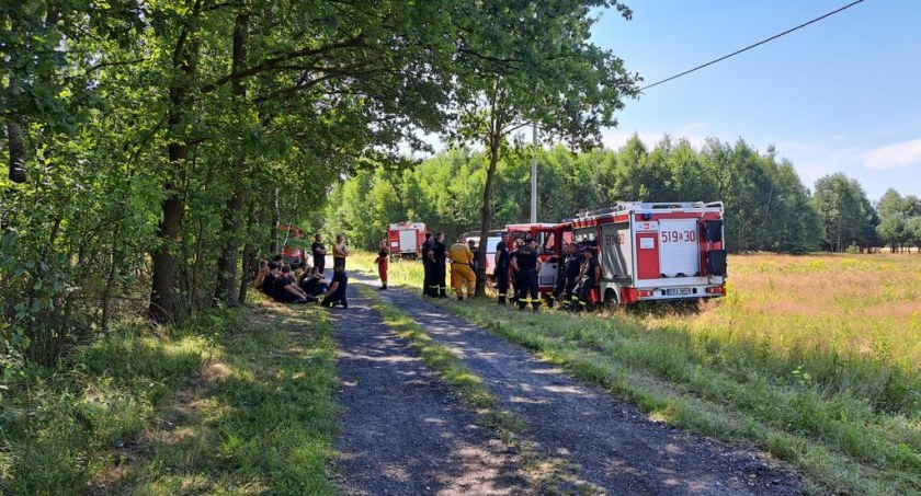 Trzeci dzień poszukiwań zaginionej 70-latki z wsi Borowa. W piątek wyszła na jagody do lasu