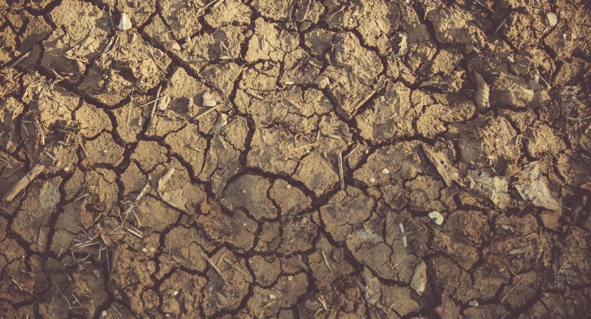 Deszcz niezwykle potrzebny. Wskaźniki klimatyczne bilansu wodnego niekorzystne dla gmin naszego powiatu