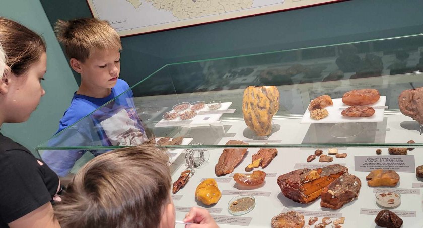 Wiecie, że najdroższe bursztyny pochodzą z Włoch a nie z Polski? W muzeum została otwarta wystawa „Świat bursztynu