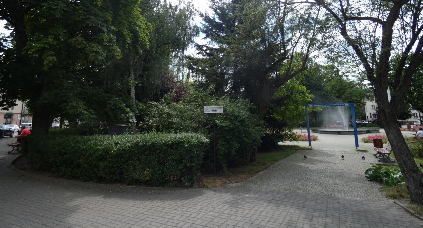 Plac 3 Maja: Do wycięcia 45, 54 lub 62 drzewa. W zależności od koncepcji. Dane poznał Łukasz Więcek
