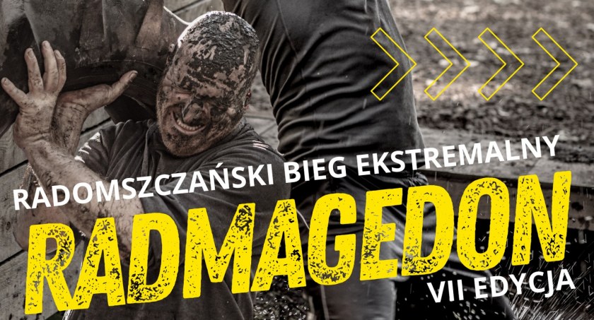 VII edycja 