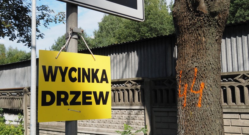 Maciej Zalewski (GDDKiA): - W Gomunicach ruszyła wycinka drzew, bo budujemy chodnik. Będą utrudnienia w ruchu