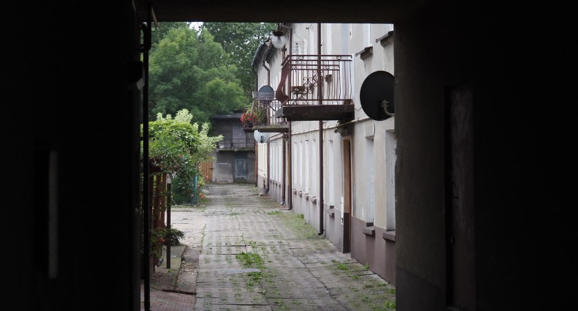 Szczurzy problem na Reymonta. „Tu się nie da żyć, boję się zasypiać