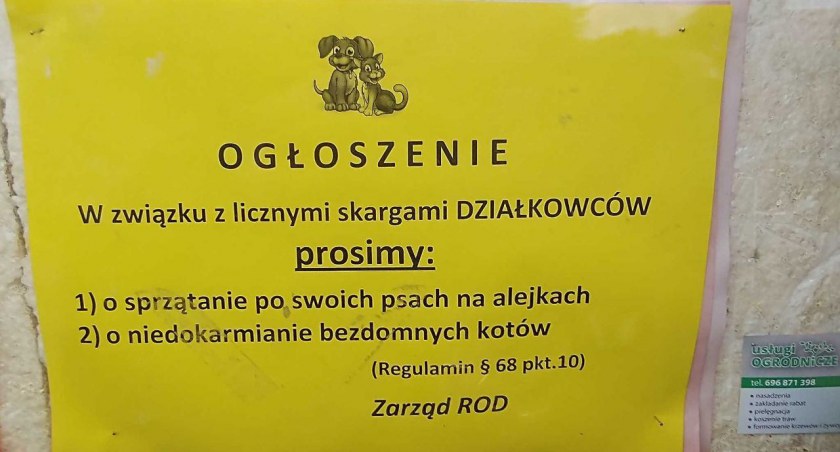 „Na rożen te koty, ale już! Mordować