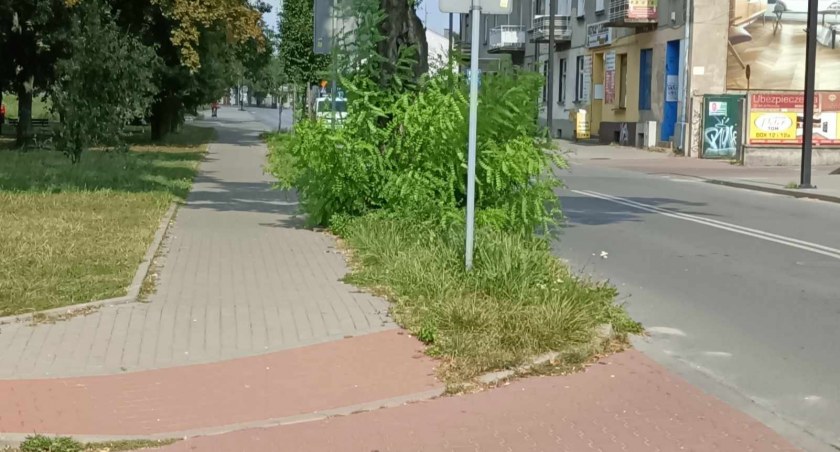 Czytelnik: - Krzaki skutecznie zasłaniają wyjazd i jest niebezpiecznie. Zgłaszaliśmy to w urzędzie miasta, ale nie ma reakcji