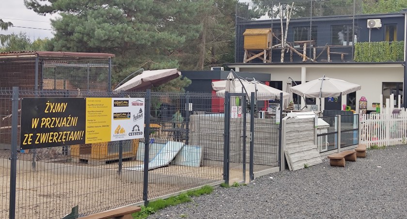 Mini ZOO zamknięte, właściciel zniknął. Prokuratury w Radomsku i Zakopanem mają ręce pełne roboty