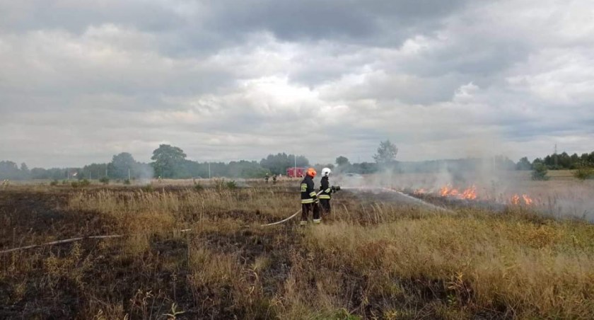 Przy drodze między Gidlami a Stęszowem doszło do pożaru suchej trawy. Strażacy dotarli na miejsce bardzo szybko dzięki pomocy radnego 