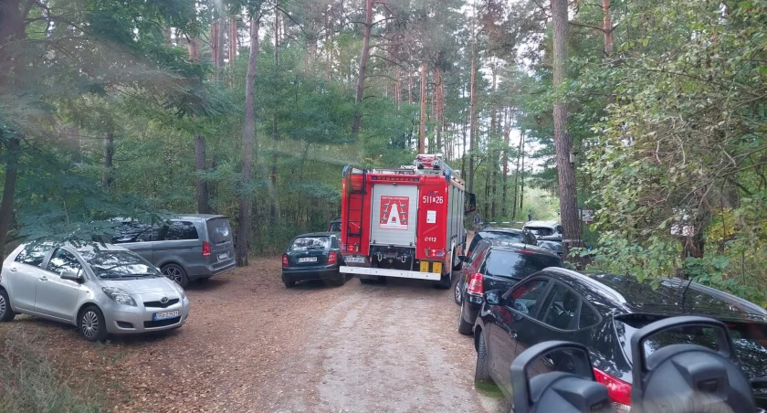 Ktoś rozpalił ognisko w lesie. Wezwano strażaków, ale wcześniej ogień ugasili harcerze. A strażacy mieli problem z dojazdem