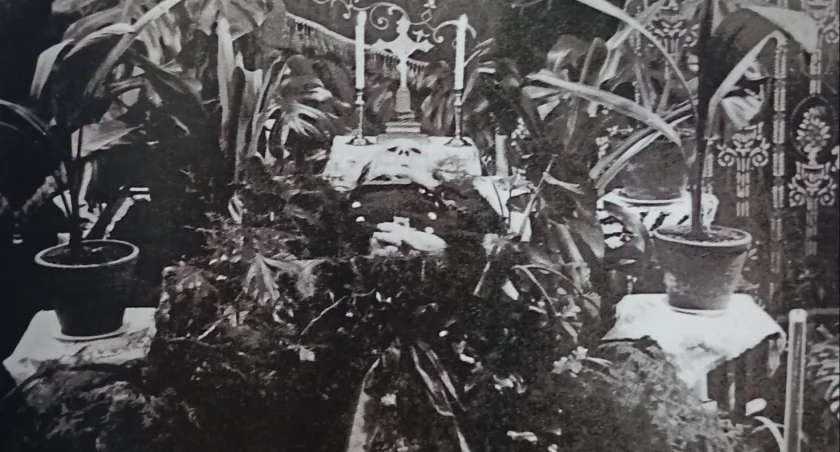 Mickiewicz z Radomska. „Szokiem dla Telesfora było złe potraktowanie go w gimnazjum Fabianiego