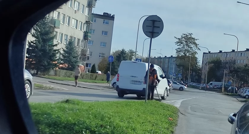 O tej porze roku trudno, żeby ich nie było. I to wszędzie. Sprawdziliśmy kto w mieście zajmuje się sprzątaniem liści