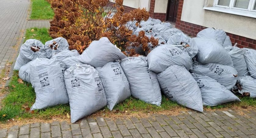 Grabienie, zamiatanie i utylizacja liści. Co i do kogo należy w tym zakresie? 