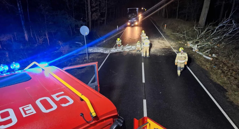Pogoda pokazała, że może być niebezpieczna. Strażacy dziewięć razy wyjeżdżali usuwać z dróg powalone drzewa