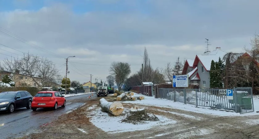 Czytelniczka: To rzeź drzew! Spalimy się na tej łysej ziemi! Rejon Radomsko: Wycinki są przez nas zlecane, prace prowadzi oddział w Łodzi