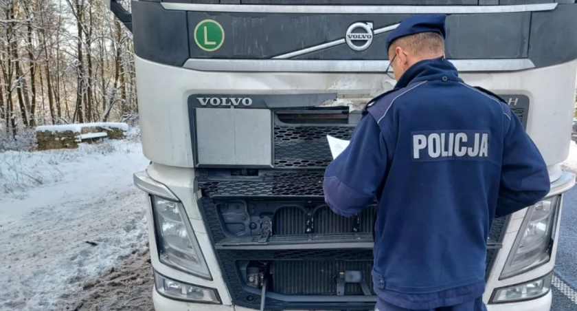 Właściciel Mini ZOO w Radomsku zginął pod kołami ciężarówki. Miał 29 lat. Policja bada, czy to było samobójstwo