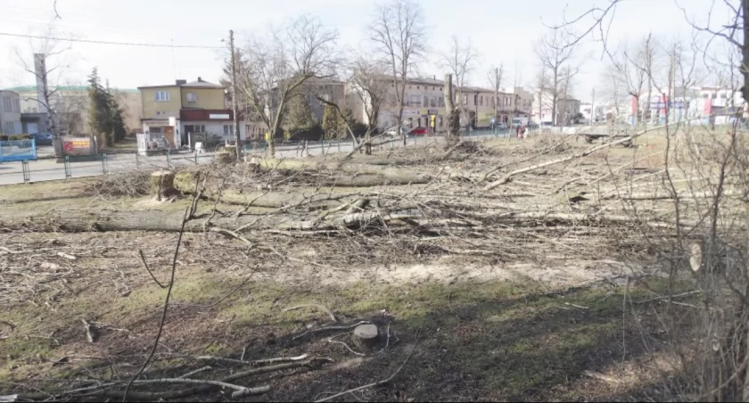Raport o Stanie Miasta (7). Ekologia. Drzewa, beton, wycinki i zieleń. Czeka nas zmiana