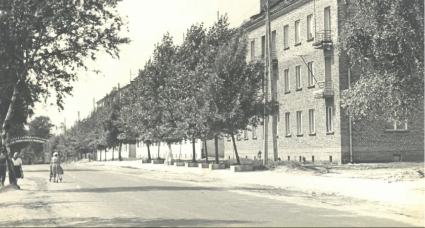 [Historia Gazetą pisana] Jaki powinien być chleb? Są dokładne wytyczne