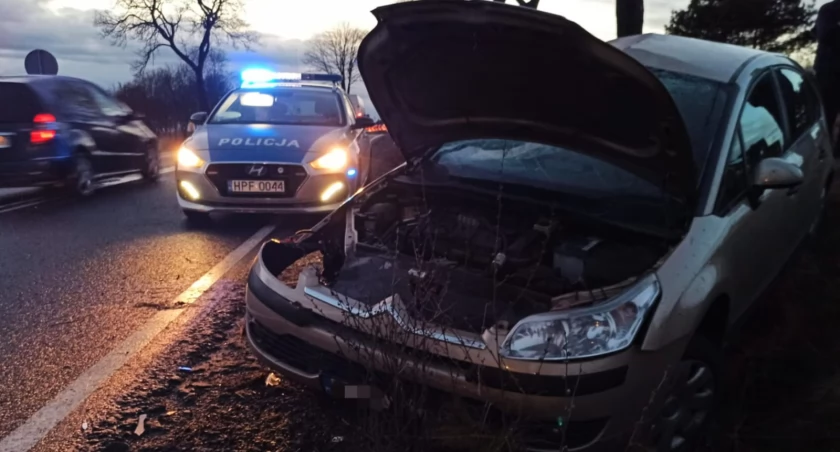 30-latka kierująca citroenem wpadła w poślizg i wypadła z drogi. Powodem była nadmierna prędkość