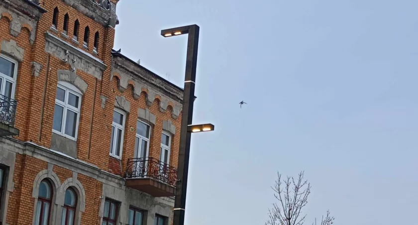 Pani Aneta: Jak było ciemno, to zgasły, a dzisiaj, w dzień, świecą w najlepsze. Kabarety, jak to w Radomsku