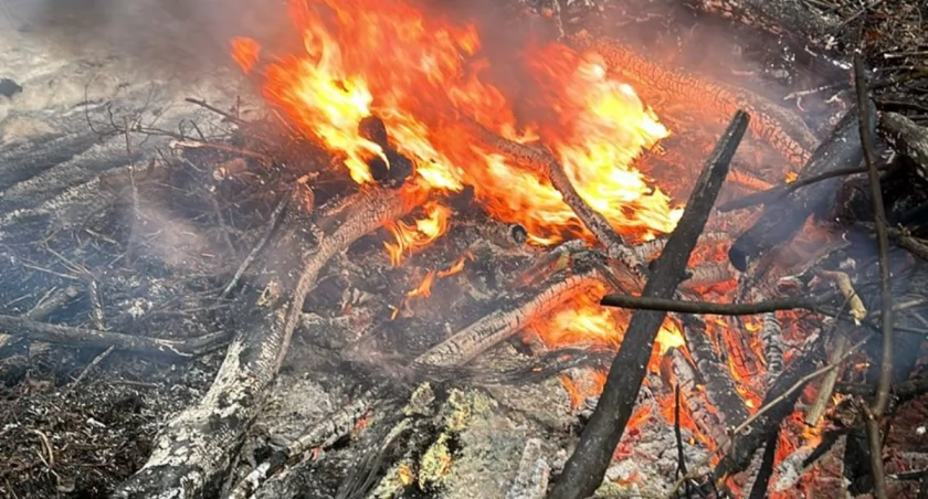 Strażacy z Kamieńska gasili stertę płonących opon. Leżały w lesie w Gałkowicach Starych