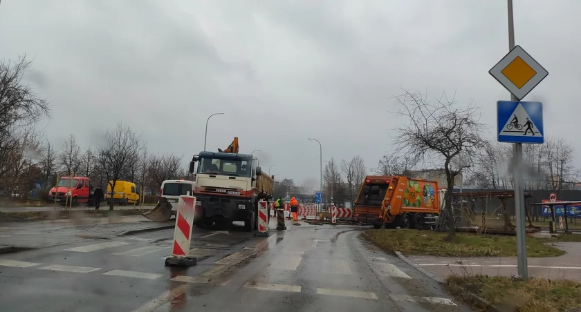 Ulica Jagiellońska znów otwarta. W czwartek miasto i starostwo wykonywały tam prace. Drogowe i przy pielęgnacji drzew