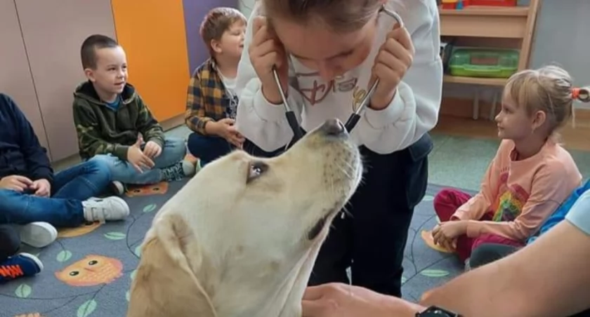 Przychodzi labrador do szkoły, czyli jak Mia pomaga w nauce