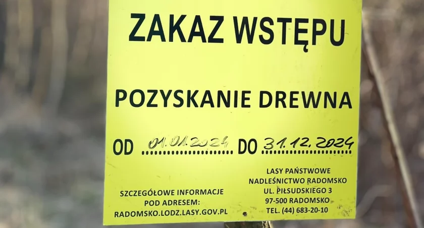 [ZDJĘCIA] Pan Marcin: Kiedyś wycinali tak, żeby nie było widać. Dzisiaj tną bez opamiętania przy głównej ścieżce. To strasznie smutny widok