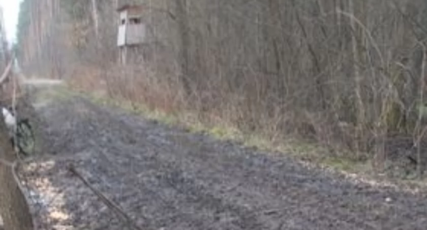 Czytelnik: Jak nie ryba, to kukurydza. Najpodlejszy sposób polowania