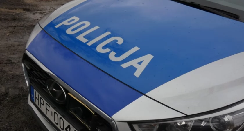 Policjanci proszą o zachowanie szczególnej ostrożności. Dochodzi do wypadków z dziką zwierzyną