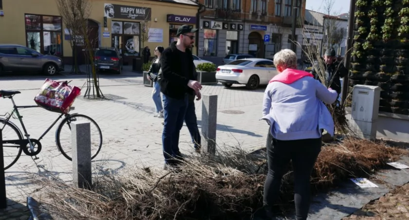 Akcja „Zielone Radomsko”. Pracownicy Urzędu Miasta rozdają drzewka. Znajdziecie ich przy Zielonej Ścianie