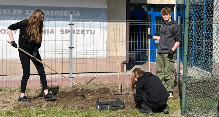 Uczniowie Ekonomika urządzają sobie kieszonkowy ogród. Na 100-lecie szkoły. Płaci Starostwo Powiatowe