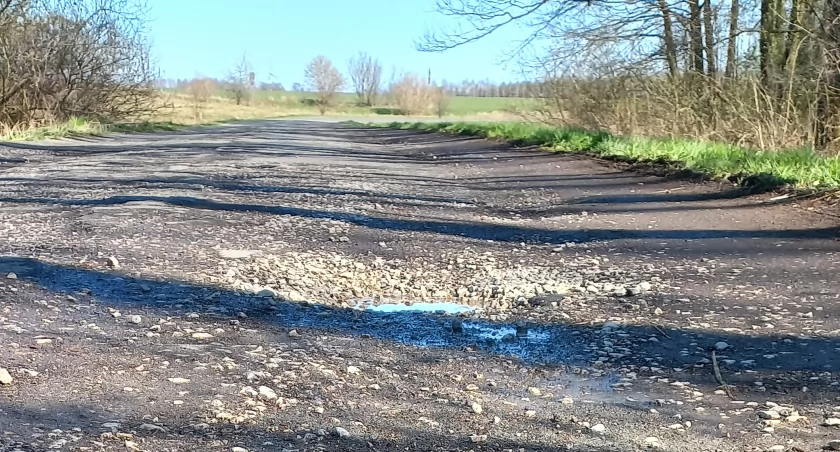 Czytelniczka: Samochody próbują omijać te dziury, wjeżdżając w las. Sekretarz gminy Dobryszyce: Będzie gruntowny remont