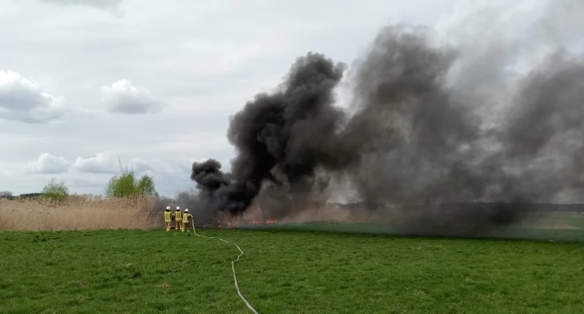 Pożar śmieci i trawy w Borzykowej w gminie Żytno. Z ogniem walczyły dwa zastępy straży pożarnej