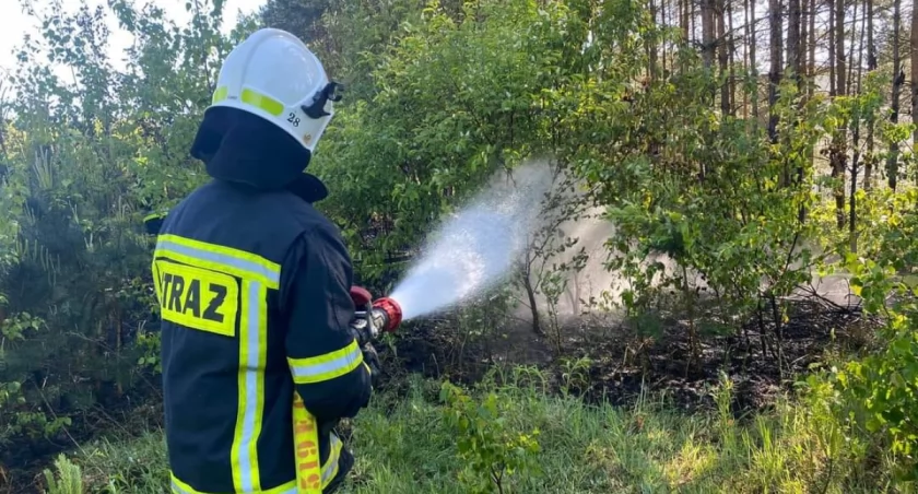 Cztery razy więcej pożarów lasów niż przed rokiem. Strażacy w każdej chwili mogą spodziewać się alarmu