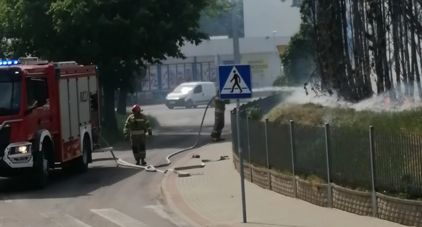 Pożar przy skrzyżowaniu ul. Wyszyńskiego i Skoczyńskiego. Płonęły tuje