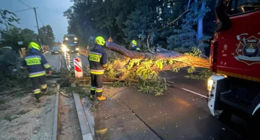 To była ciężka noc. Burze i silne podmuchy wiatru. Strażacy interweniowali 15 razy