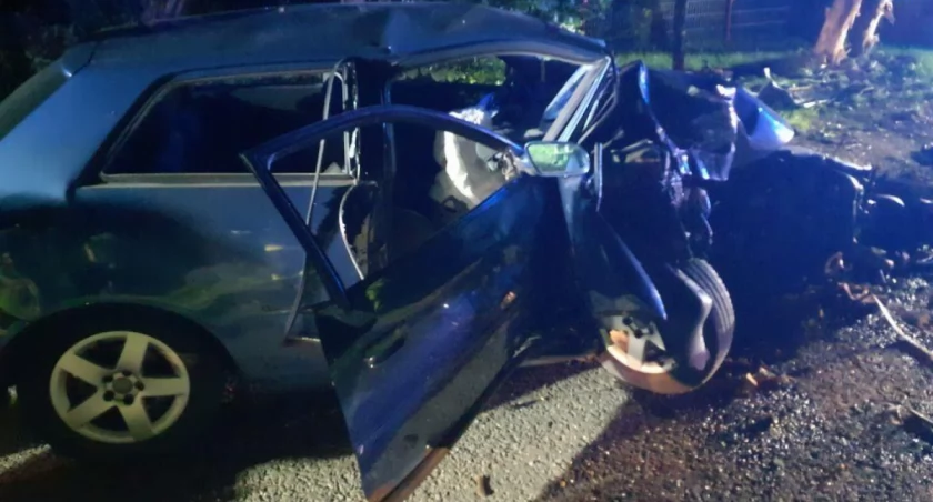 Wypadek w Białej Górze w gminie Dobryszyce. Kierowca audi wjechał w drzewo