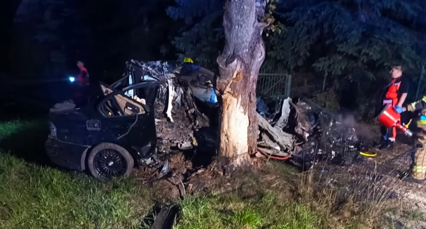 BMW uderzyło najpierw w słup, potem w drzewo. 28-letni kierowca zginął na miejscu
