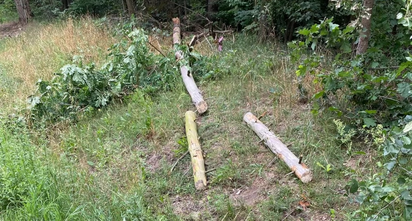 Niespokojny wieczór. Strażacy wyjeżdżali 11 razy. Piorun zapalił trawę pod transformatorem