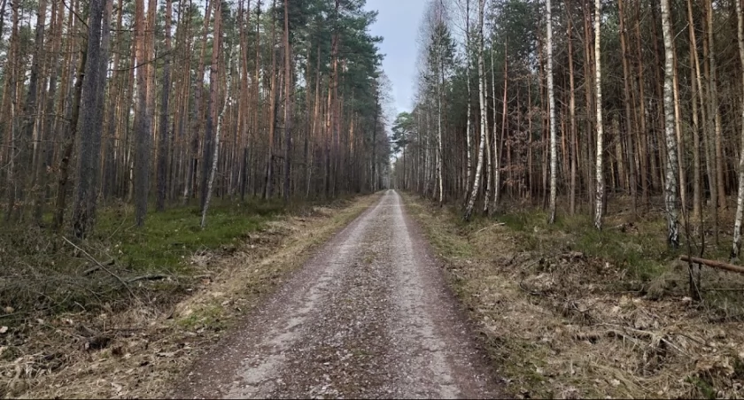 Wędrujemy Pasmem Przedborsko-Małogoskim. Starostwo Powiatowe i ERA Travel zapraszają na wyprawę