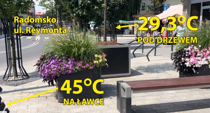 Pod drzewem 29 stopni, dwadzieścia metrów dalej na betonie - 45. Zmierzyliśmy temperaturę na Reymonta
