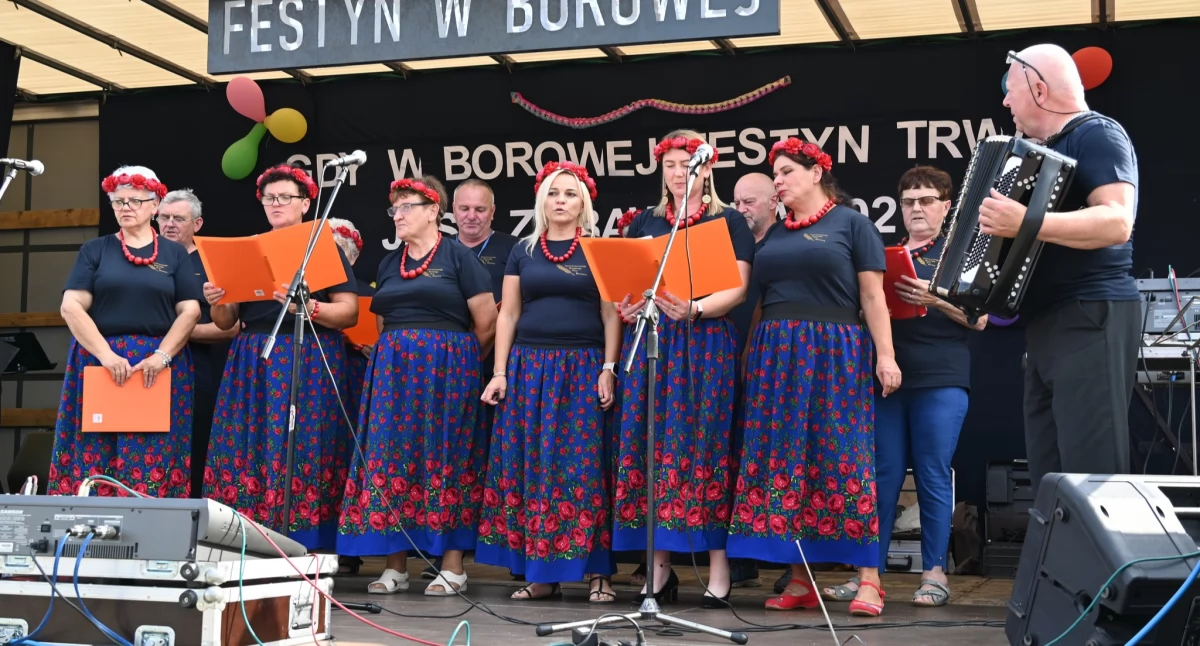 Stowarzyszenie Rozwoju Wsi Borowa zaprosiło na wakacyjny festyn 