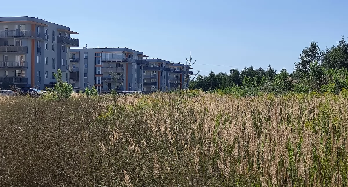 Mleczarnia nie chce bloków za miedzą. „Zamierzamy zrobić wszystko, żeby do tej inwestycji nie doszło