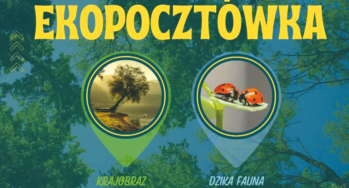 Ekopocztówka województwa łódzkiego. Konkurs fotograficzny o nagrodę Wojewódzkiego Funduszu Ochrony Środowiska w Łodzi