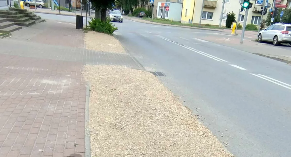 Czytelniczka informuje, że ktoś bez pytania zamienił trawę na tłuczeń, a zarządca drogi - Starostwo - odpowiada tylko: - Nie zlecaliśmy