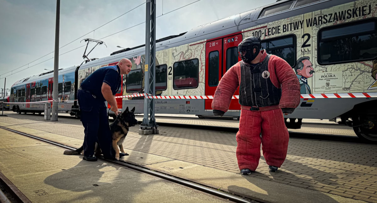 Młodszy aspirant Dawid Marchwiński i owczarek belgijski Rewelacja na szkoleniu czworonożnych funkcjonariuszy w Łodzi