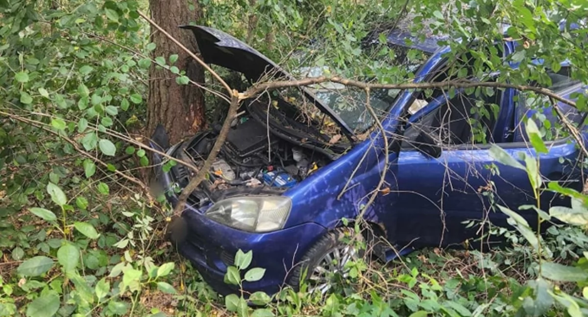 Wypadek w miejscowości Józefów w gminie Przedbórz. 67-letnia kobieta wjechała w drzewo